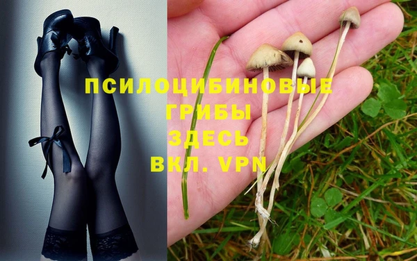 тгк Ладушкин