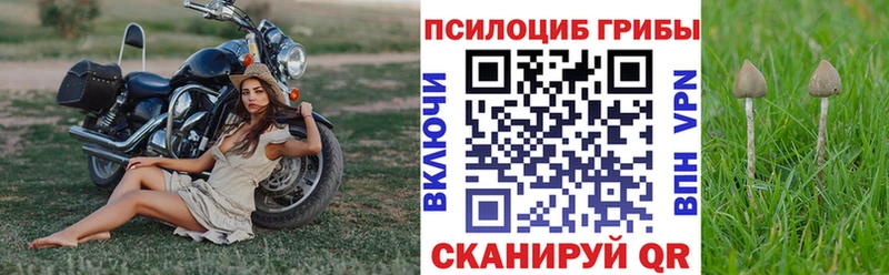 Галлюциногенные грибы Psilocybine cubensis Арзамас