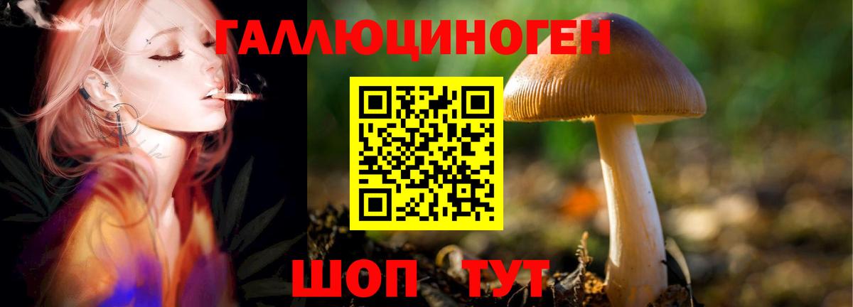 Галлюциногенные грибы мицелий  Вход с VPN  Арзамас 